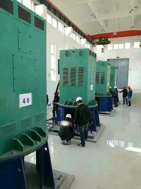 奉贤某污水处理厂使用我厂的立式高压电机安装现场